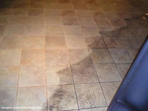 chicago-tile-cleaning