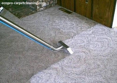 clean-carpets-chicago