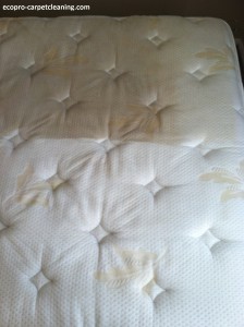 cleaning-mattress-chicago