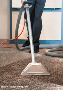 ecopro-carpet-cleaning-chicago