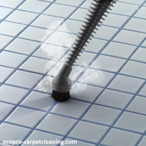 grout-cleaning-chicago-il