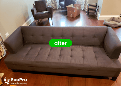 upholstery cleaning services in Chicago