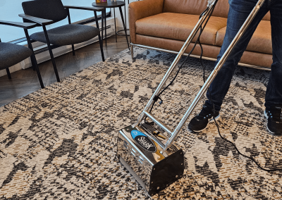 Carpet Cleaning in Chicago