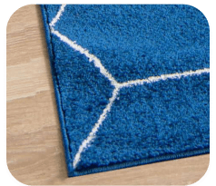 Ecopro Area rug cleaning