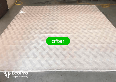 EcoPro Rug Cleaning