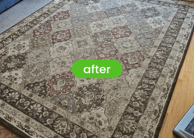 Rug Cleaning near me