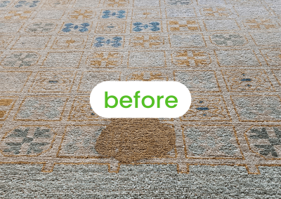 Rug Cleaning