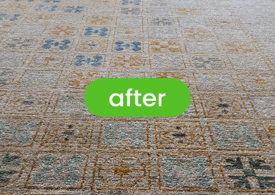 Rug Cleaning in Chicago