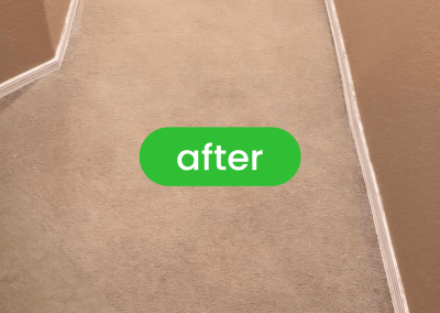 eco pro carpet cleaning