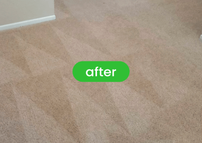 carpet cleaning chicago