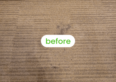 oxi fresh carpet cleaning service