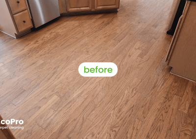 Hardwood Cleaning EcoPro