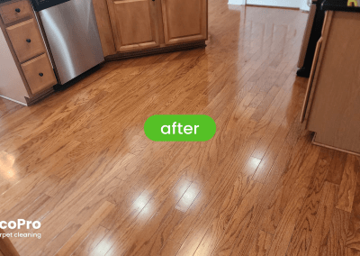 Hardwood Cleaning in Chicago