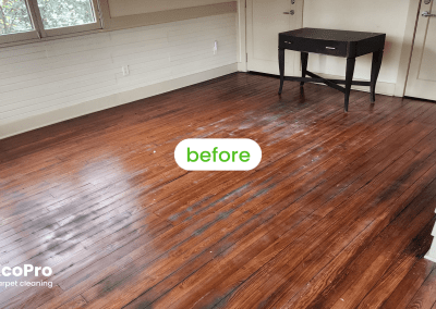 Hardwood floor Cleaning in Chicago