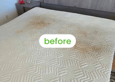 bed cleaning service