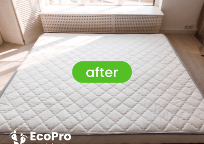 clean mattress service