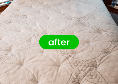 cleaning mattress service